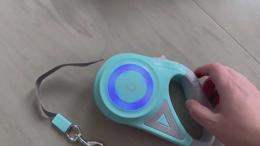 Hundkoppel – Flexibelt Koppel, Spotlight Automatisk Draglina för Hund och Katt